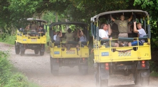 Expediciones por la selvas